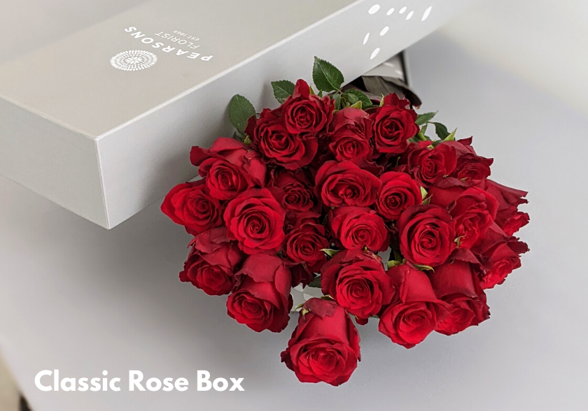 Pearsons Florist Rose Care Guide Keeping Roses Fresh